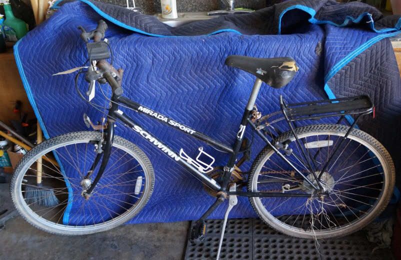 schwinn mirada sport