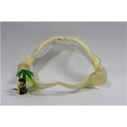 SHARK JAW WITH TEETH