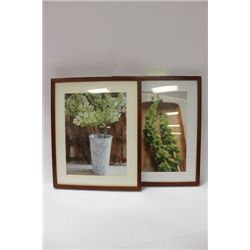 2 FRAMED PICTURES