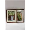 Image 1 : 2 FRAMED PICTURES