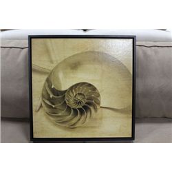 SEASHELL FRAMED PICTURE