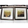 Image 1 : SHOWHOME PR OF FRAMED PICTURES