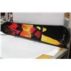Image 1 : SNOWBOARD
