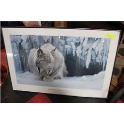 ROBERT BATEMAN FRAMED "DOZING LYNX" PRINT