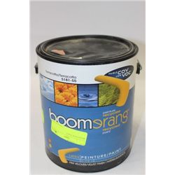 BRAND NEW PAINT, TERRACOTTA COLOR