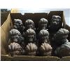 Image 1 : Box Lot of 12 Ceramic Lions