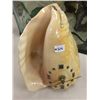 Image 1 : Hand Crafted Genuine Shell Clock (6.75" high)