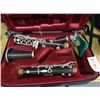 Image 1 : Clarinet & Case