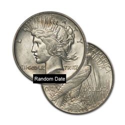 Peace Silver Dollar Coin - Random date - Average Circulated