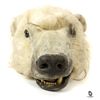 Image 3 : Prop Polar Bear Head and Pair of Claws from LOST