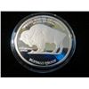 Image 2 : 2007 Buffalo and Indian Medal Round - Copy