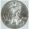 Image 1 : 2013 SILVER AMERICAN EAGLE