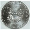 Image 2 : 2013 SILVER AMERICAN EAGLE