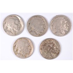 (5) 1919 BUFFALO NICKELS