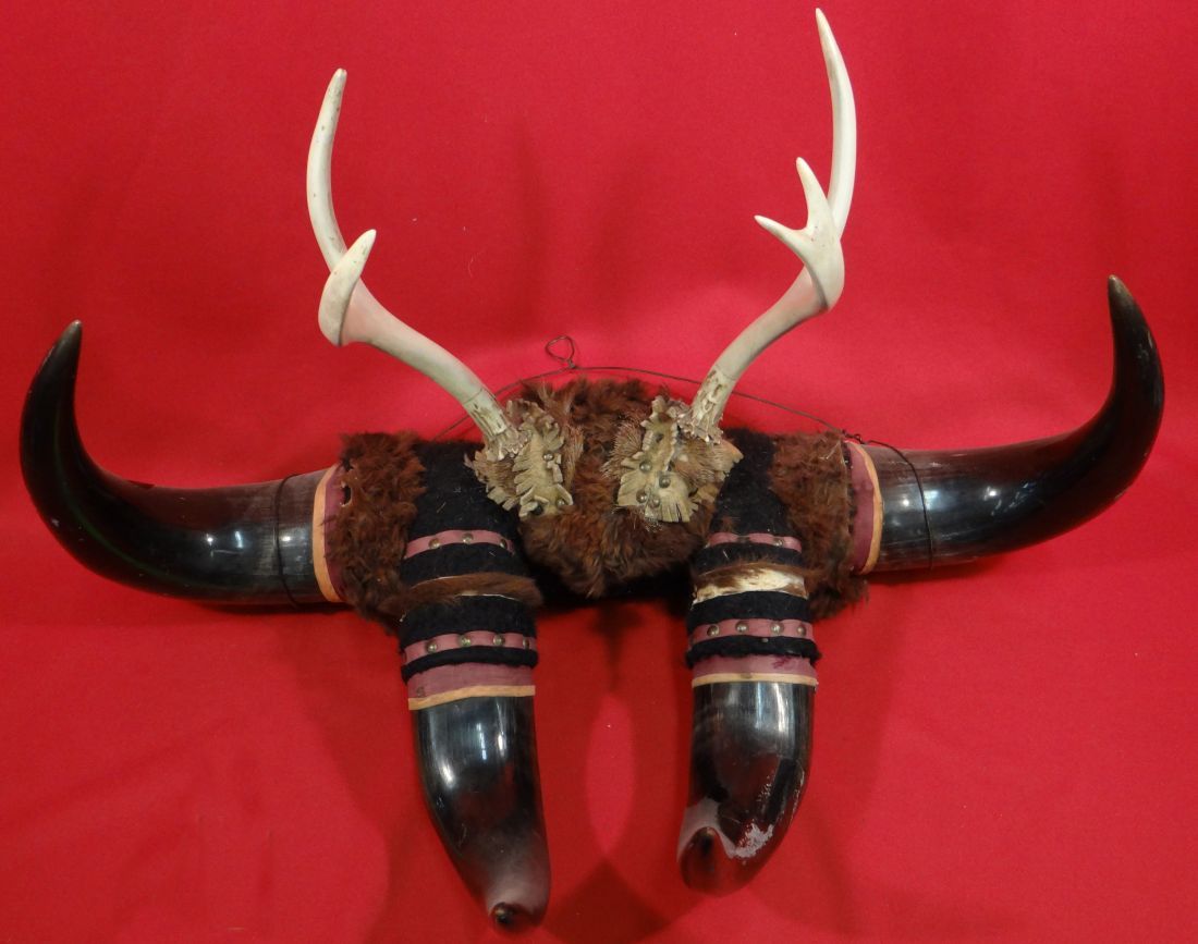 Buffalo horn hat rack w/whitetail deer antler
