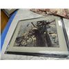 Image 1 : FRAMED PRINT "ENCHANTED FOREST - EAGLE - COLIN BOGLE - GALLERY ~$500
