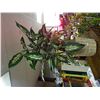 Image 1 : ARTIFICIAL PLANT IN WICKER BASKET