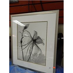 FRAMED PRINT - FLOWERS - RETAIL $139.00