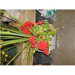 LIVE PLANT - LARGE - GERANIUMS AND GRASS