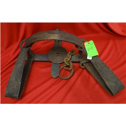 Hudson Bay Kodiak 41AX bear trap