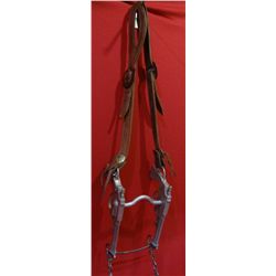 Ricardo 6-shooter bit w/ headstall