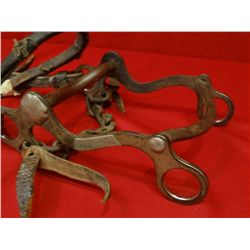 Crockett bit, silver mtd. w/ headstall