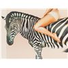 Image 5 : Mel Ramos (b. 1935), Lithograph in Colors, ’Zebra’, 1981