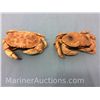 Image 1 : Pair of taxidermy crabs