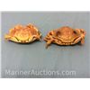 Image 4 : Pair of taxidermy crabs
