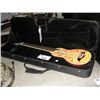 Image 1 : WASHBURN ROVER RO10 TRAVEL GUITAR AND CASE