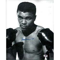 Muhammad Ali Signed 8 x 10 Certified by STAT
