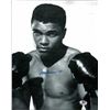 Image 1 : Muhammad Ali Signed 8 x 10 Certified by STAT