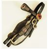 Image 1 : Headstall With Nickel Spots & Star Rosettes