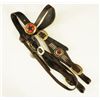 Image 4 : Headstall With Nickel Spots & Star Rosettes