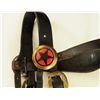 Image 5 : Headstall With Nickel Spots & Star Rosettes