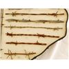 Image 10 : Texas Barbed Wire Sample Board