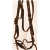 Image 3 : WWI Cavalry Bridle And Bit With Spurs