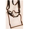 Image 4 : WWI Cavalry Bridle And Bit With Spurs