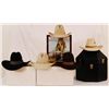 Image 1 : Collection of Stetson Felt Hats