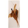 Image 2 : Pheasant Mount