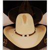 Image 4 : Collection of Stetson Hats
