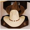 Image 5 : Collection of Stetson Hats