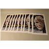Image 1 : LOT OF 10- LIMITED EDITION GERRY CHEEVERS SIGNED PRINTS