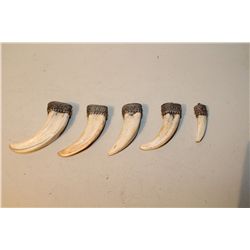 LOT OF 5 AFRICAN WARTHOG TUSK PENDANTS WITH SILVER FILIGREE