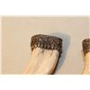 Image 2 : LOT OF 5 AFRICAN WARTHOG TUSK PENDANTS WITH SILVER FILIGREE