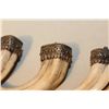 Image 2 : LOT OF 4 AFRICAN WARTHOG TUSK PENDANTS WITH SILVER FILIGREE