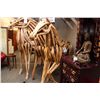 Image 2 : LARGE, HAND CARVED, TEAK HORSE