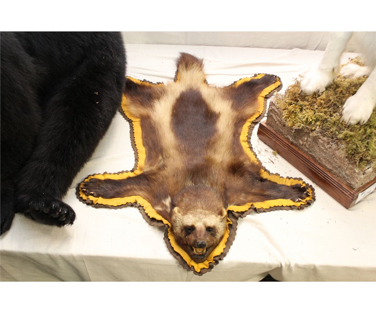 WOLVERINE RUG - Able Auctions