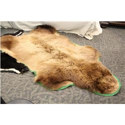 CINNAMON BEAR RUG