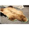 Image 1 : CINNAMON BEAR RUG